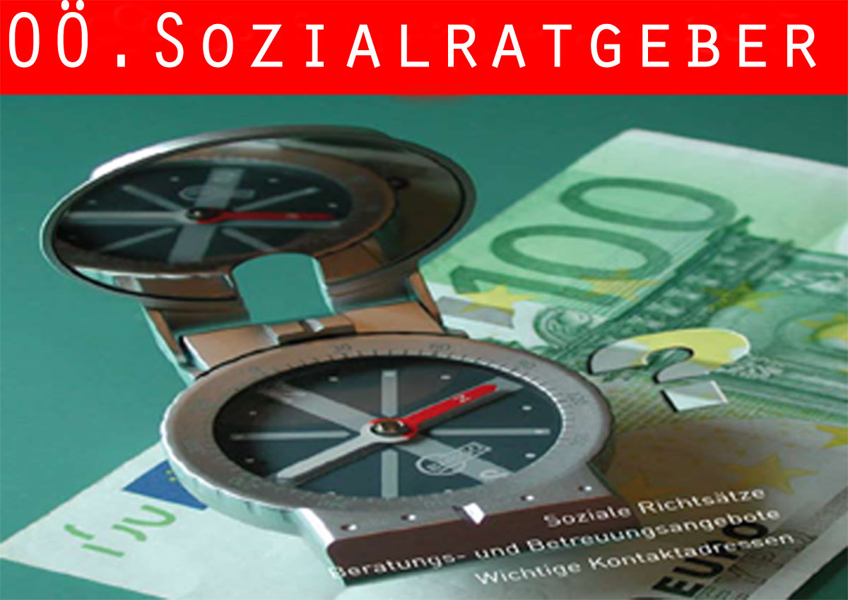 Sozialratgeber 2010